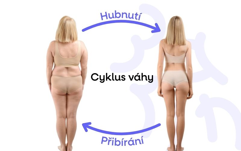 zena cyklus vahy dieta